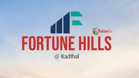 FORTUNE HILLS